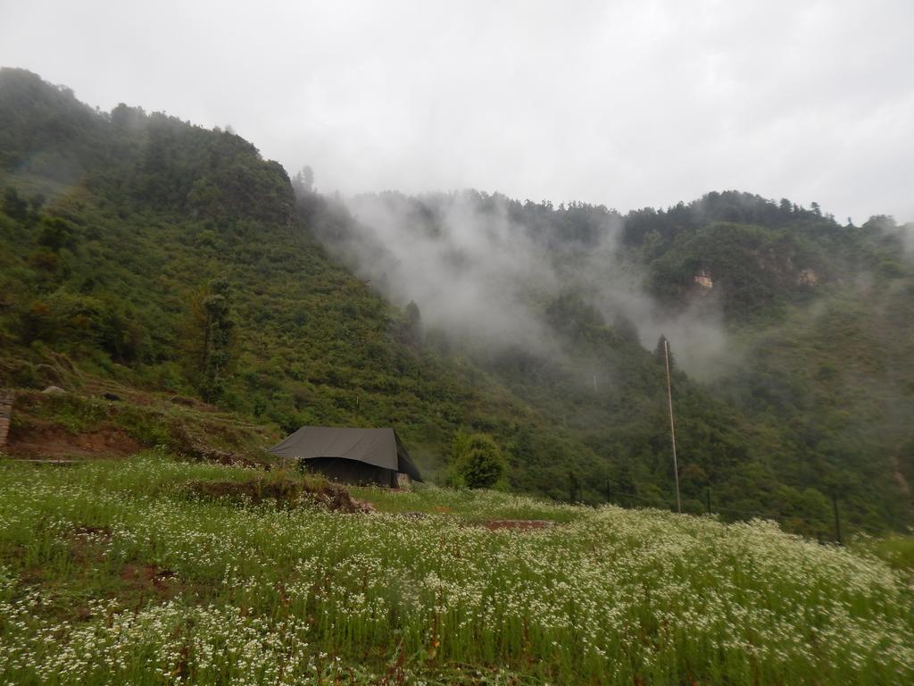 Dhanaulti Camp Homes Retreat エクステリア 写真