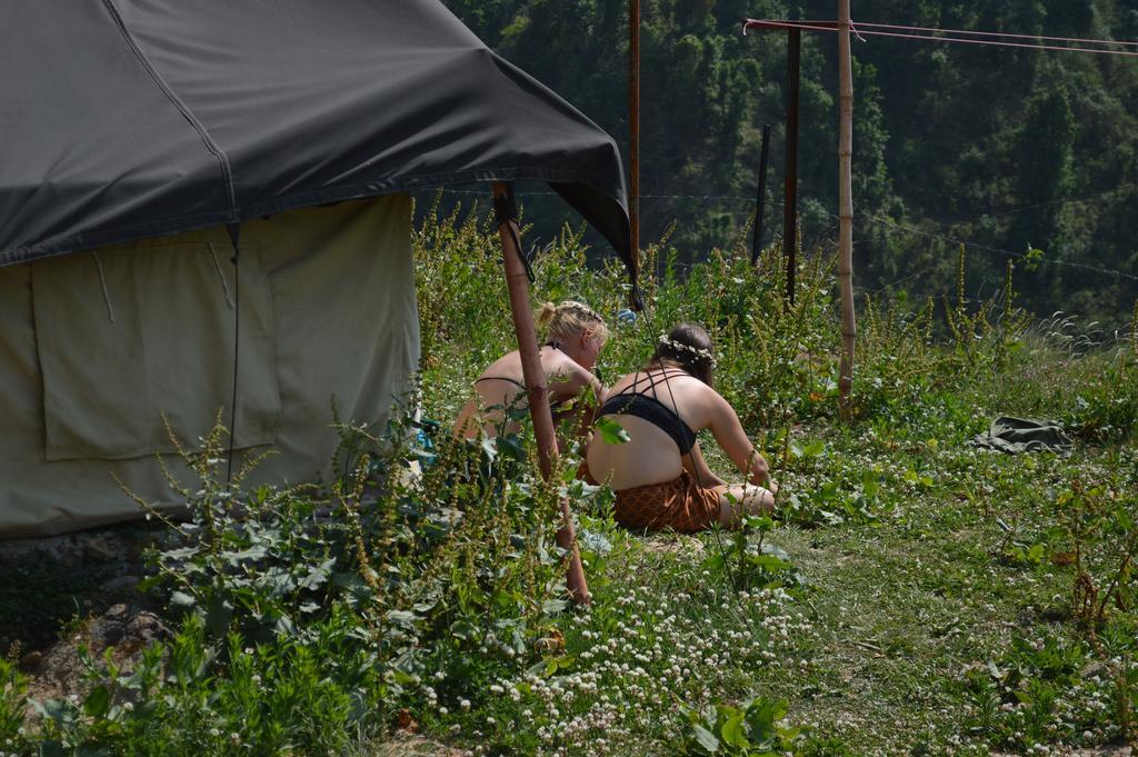 Dhanaulti Camp Homes Retreat エクステリア 写真